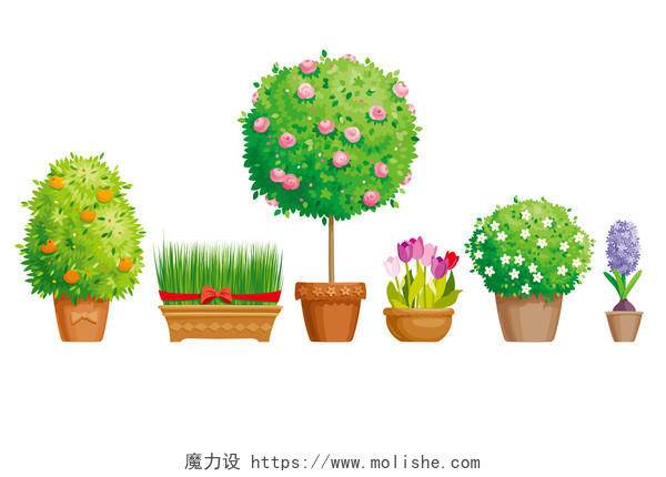景观植物郁金香风信子植物盆栽盆景矢量素材